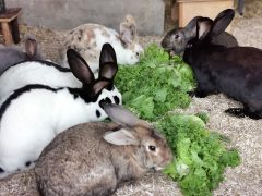 inbound7665862987912302334